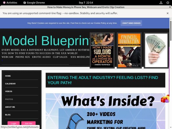 AmberlyPSO With SEPA