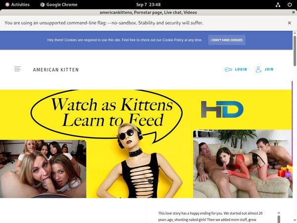 Americankitten.com Free Hd Porn