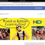 Americankitten.com Nude Pictures