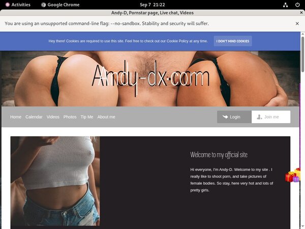 Andy-d.modelcentro.com Network Password