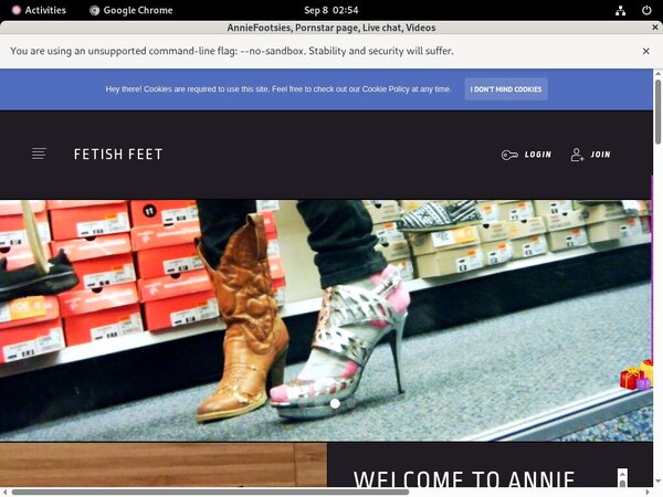 Anniefooties.modelcentro.com Member Account