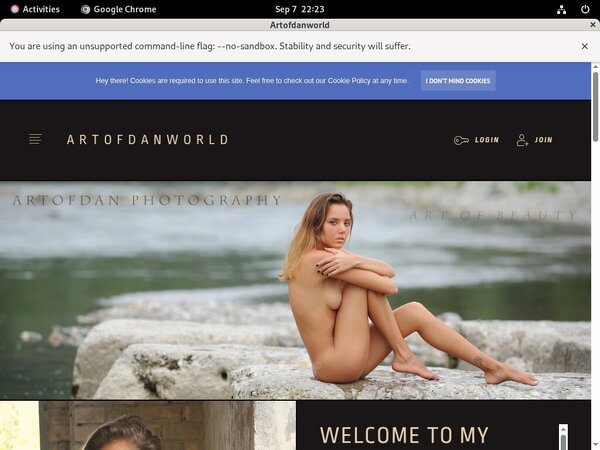 Artofdan Videos For Free
