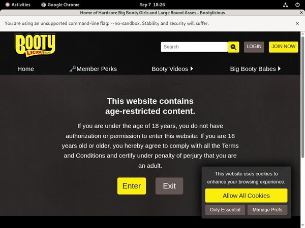 Bootyliciousmag.com Website