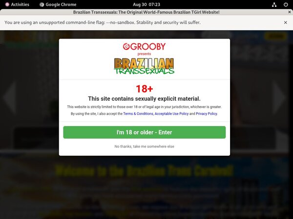 Brazilian Transsexuals Account Generator