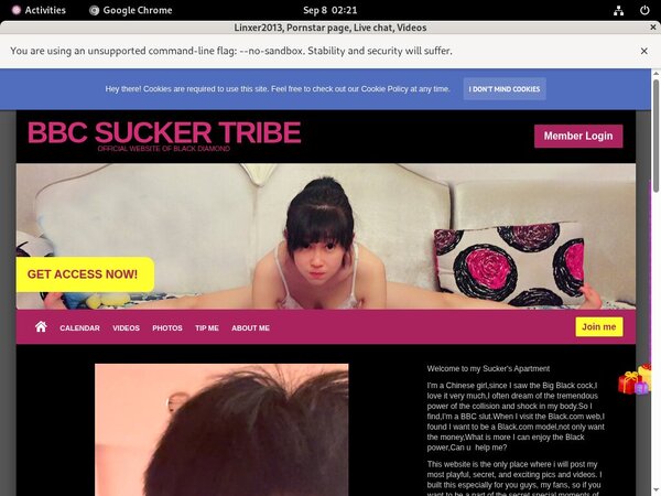 Buy Linxer2013.modelcentro.com Account