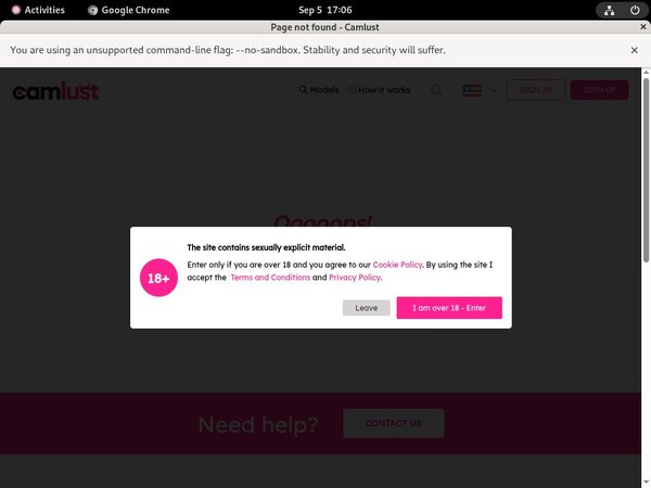Camlust.com Automatische Incasso
