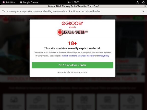 Canadatgirl Working Passwords