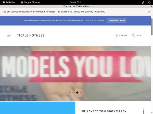 Discount Ticklehotness.com Price
