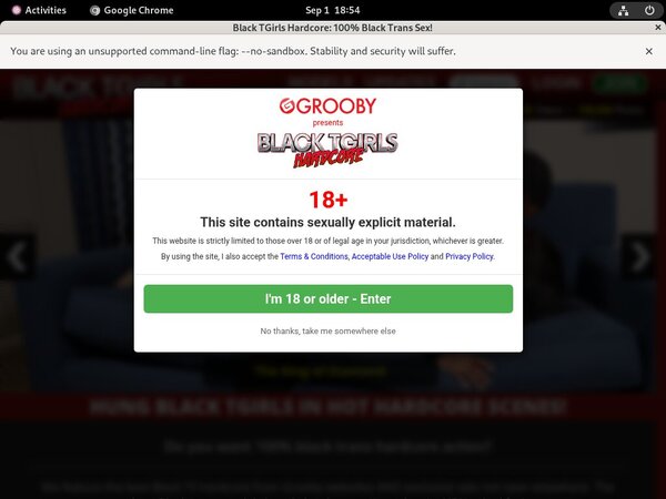 Free Blacktgirlshardcore Passwords 2018
