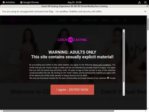 Free Czech VR Casting Account