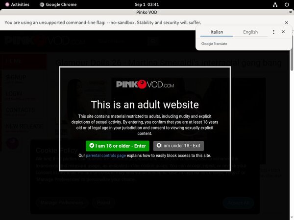 Free Pinkovod.com Full