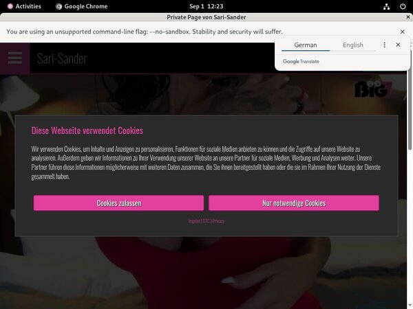 Free SariSander User