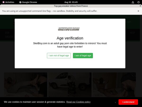 Free Sketboy Hacked Login