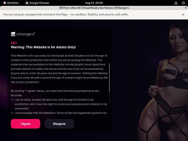 FreeVR Bangers Password