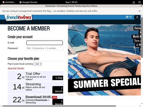 French Twinks Pay Site