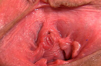 Gapemypussy Account Blog s0