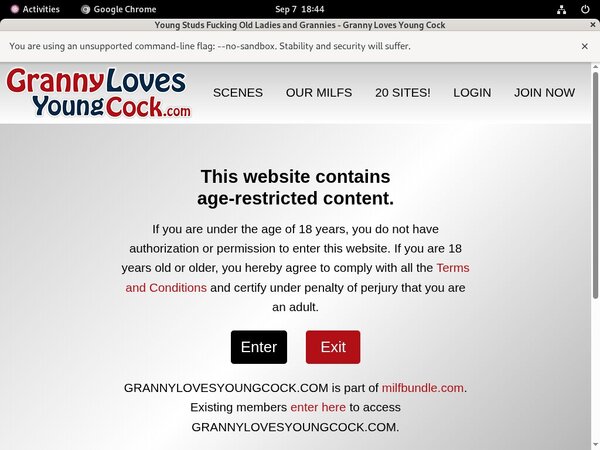 Grannylovesyoungcock Toilet