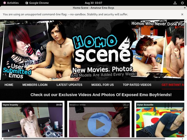Homoscene.com Films