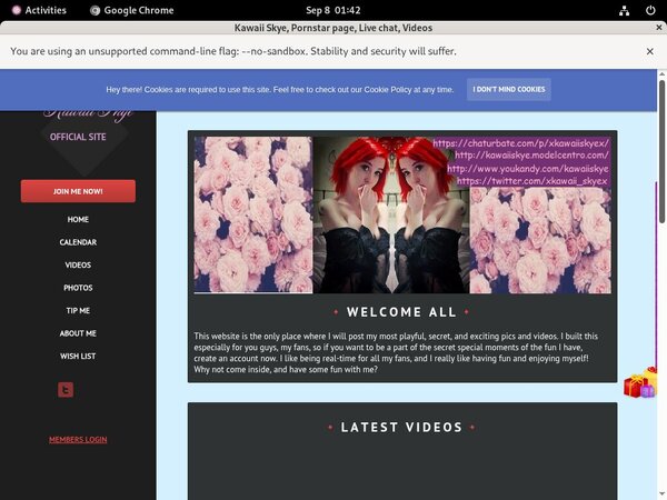 KawaiiSkye Sign Up Page