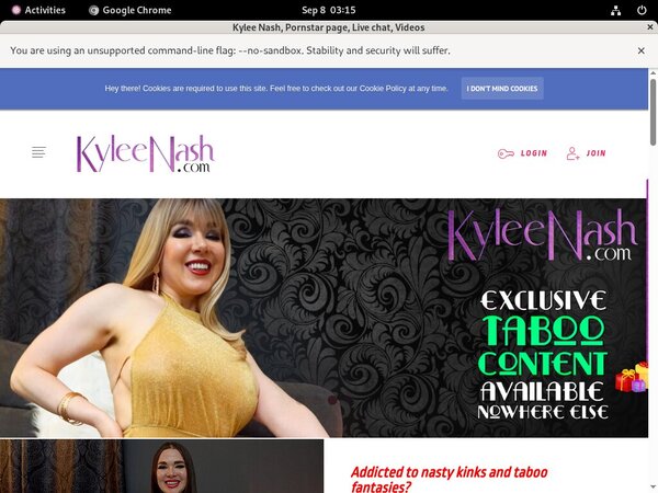 Kyleenash.com Valid Password