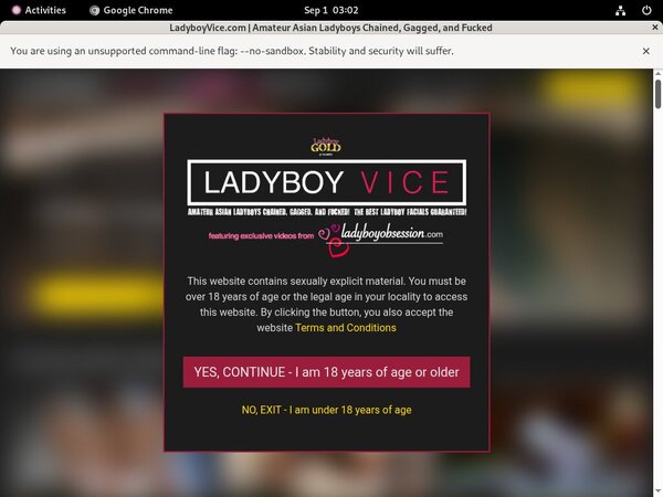 Ladyboy Vice Paysite