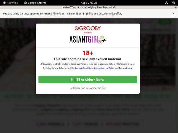 Ladyboy-ladyboy.com Trial Pass