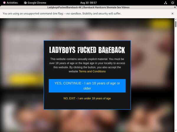 Ladyboysfuckedbareback.com Billing Form