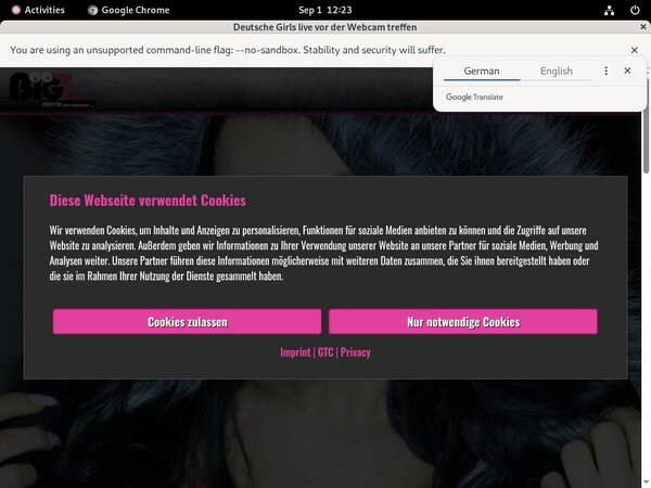 Lanagiselle.tv Site