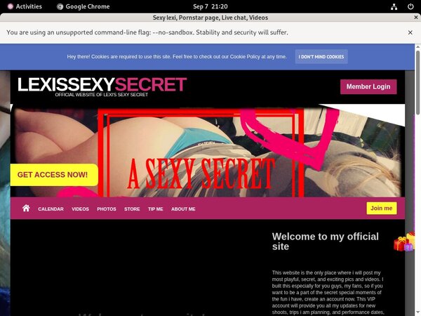 Lexissexysecret.modelcentro.com Review