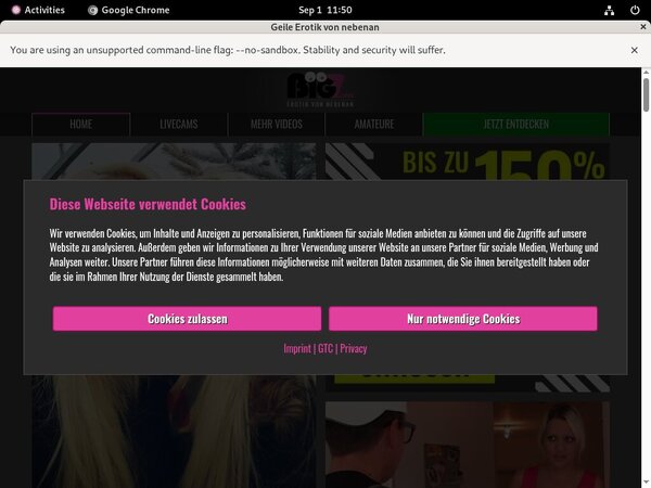Linda Kiss Checkout Page
