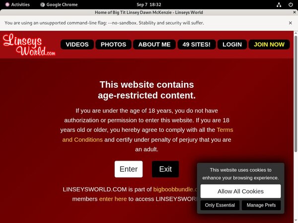 Linseys World Free Code