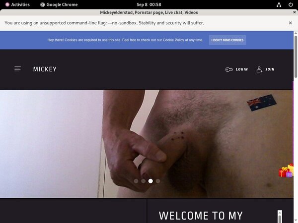 Mickeyelderstud.modelcentro.com Discount Trials