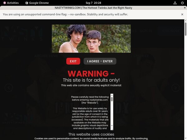 Nastytwinks Pornstar