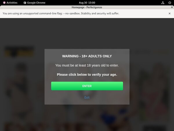 Perfectgonzo.com Valid Account
