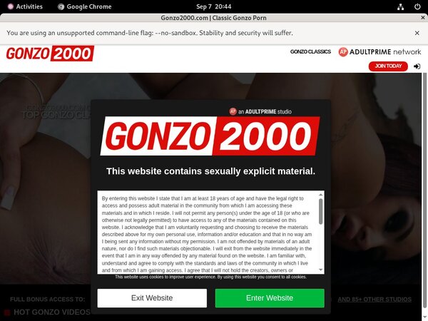 Porn Pass Gonzo 2000
