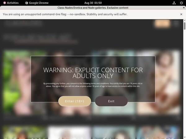 Porno Class Nudes