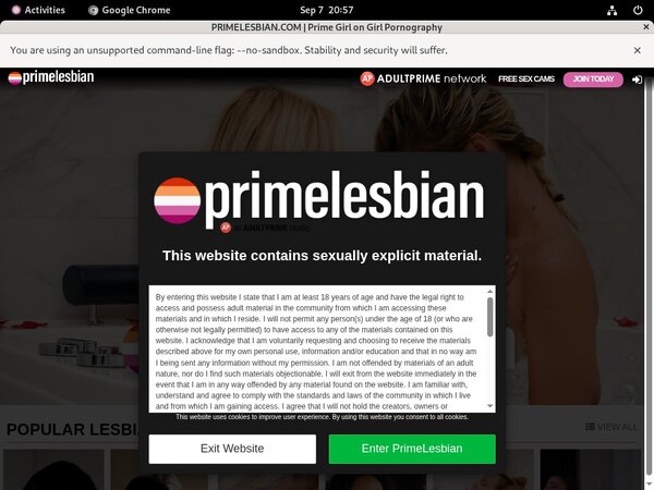 Prime Lesbians Accept Pay Pal