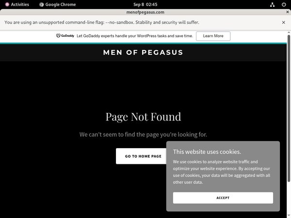Promo Pegasus_Studios