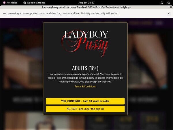 Pussyladyboy Discount Deal