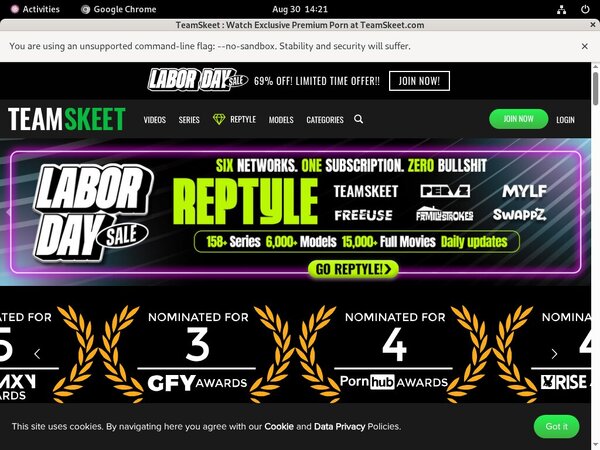 Skeet Team Logins
