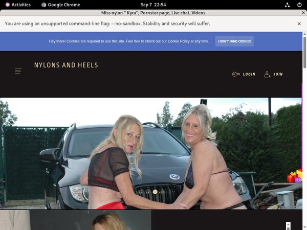 Stockingsandhighheels.com Working Accounts