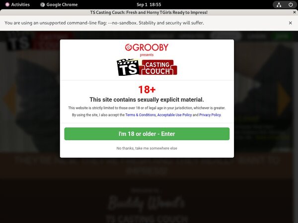 Try TS Casting Couch Free Trial Try TS Casting Couch Free Trial