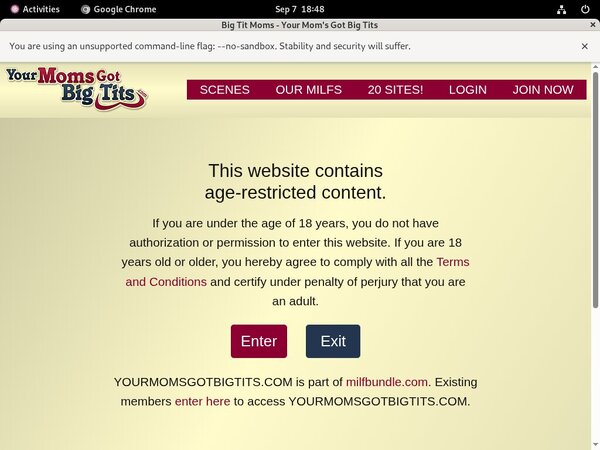 Your Moms Got Big Tits Network Login