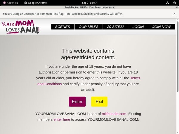 Yourmomlovesanal.com Accs