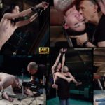 Premium Account For Subspaceland.com