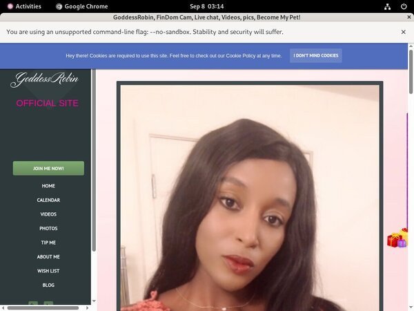 Goddessrobin.modelcentro.net Logins