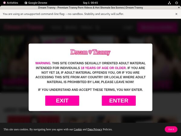 Dream Tranny Checkout Form