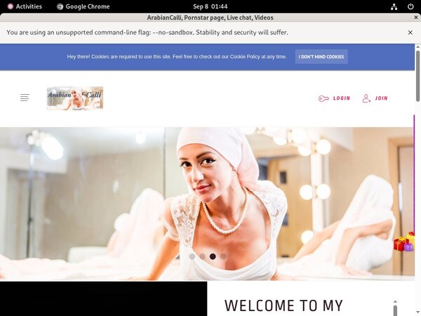 Get ArabianCalli Discount Link